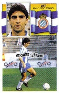 Figurina Gay - Liga Spagnola 1990-1991
 - Colecciones ESTE