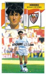 Sticker Herrero - Liga Spagnola 1990-1991
 - Colecciones ESTE