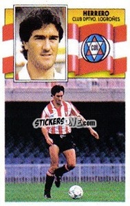 Sticker Herrero - Liga Spagnola 1990-1991
 n. 163 - Colecciones ESTE