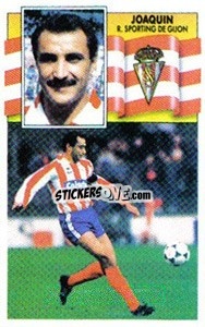 Sticker Joaquín - Liga Spagnola 1990-1991
 - Colecciones ESTE