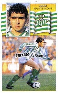 Sticker Julio - Liga Spagnola 1990-1991
 - Colecciones ESTE