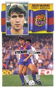 Sticker Julio Salinas - Liga Spagnola 1990-1991
 - Colecciones ESTE