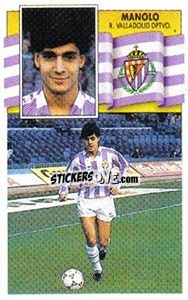 Sticker Manolo - Liga Spagnola 1990-1991
 - Colecciones ESTE