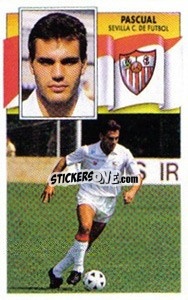 Cromo Pascual - Liga Spagnola 1990-1991
 - Colecciones ESTE