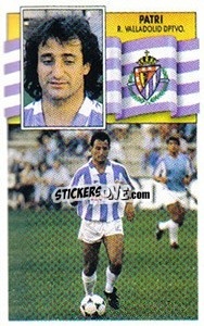 Cromo Patri - Liga Spagnola 1990-1991
 - Colecciones ESTE