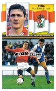 Cromo Peña - Liga Spagnola 1990-1991
 - Colecciones ESTE