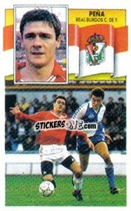Cromo Peña - Liga Spagnola 1990-1991
 n. 76 - Colecciones ESTE