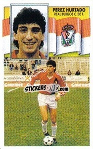 Cromo Pérez Hurtado - Liga Spagnola 1990-1991
 - Colecciones ESTE