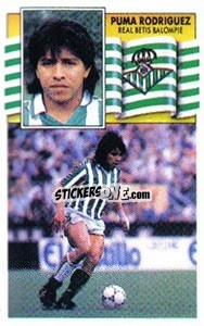 Sticker Puma Rodríguez - Liga Spagnola 1990-1991
 n. 38 - Colecciones ESTE