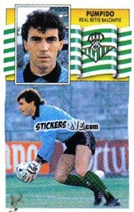 Sticker Pumpido - Liga Spagnola 1990-1991
 - Colecciones ESTE