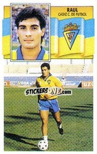 Sticker Raúl - Liga Spagnola 1990-1991
 - Colecciones ESTE