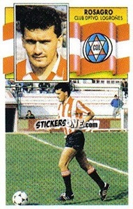 Sticker Rosagro - Liga Spagnola 1990-1991
 n. 177 - Colecciones ESTE