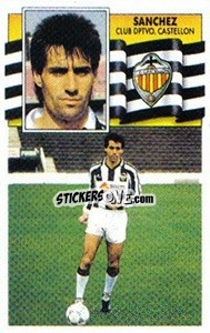 Sticker Sanchez (coloca) - Liga Spagnola 1990-1991
 - Colecciones ESTE