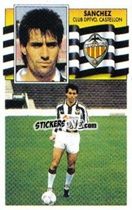 Sticker Sanchez (coloca) - Liga Spagnola 1990-1991
 n. 107 - Colecciones ESTE
