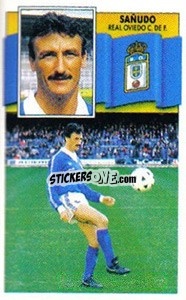 Sticker Sañudo - Liga Spagnola 1990-1991
 n. 268 - Colecciones ESTE