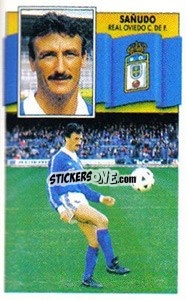 Cromo Sañudo - Liga Spagnola 1990-1991
 - Colecciones ESTE