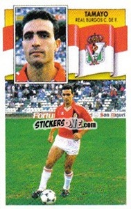 Sticker Tamayo - Liga Spagnola 1990-1991
 - Colecciones ESTE