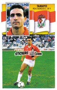 Cromo Tamayo - Liga Spagnola 1990-1991
 n. 70 - Colecciones ESTE