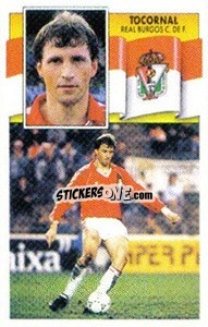 Cromo Tocornal - Liga Spagnola 1990-1991
 n. 74 - Colecciones ESTE