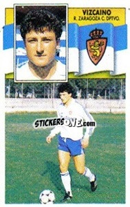 Cromo Vizcaíno - Liga Spagnola 1990-1991
 - Colecciones ESTE