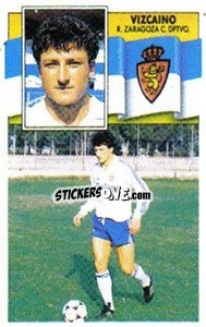 Sticker Vizcaíno - Liga Spagnola 1990-1991
 n. 387 - Colecciones ESTE