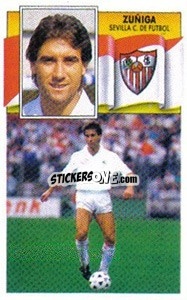 Sticker Zuñiga (coloca) - Liga Spagnola 1990-1991
 n. 290 - Colecciones ESTE