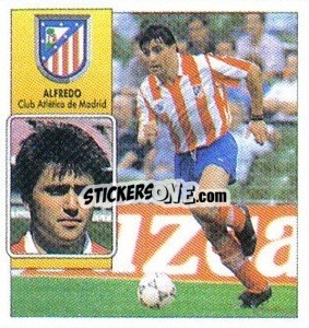 Sticker Alfredo - Liga Spagnola 1992-1993
 - Colecciones ESTE