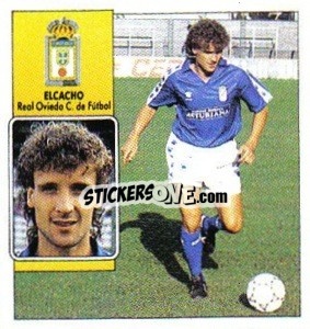 Cromo Elcacho - Liga Spagnola 1992-1993
 - Colecciones ESTE