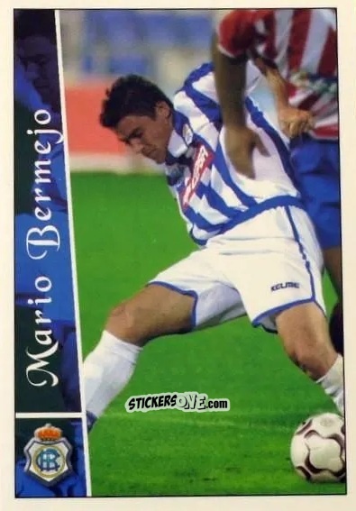 Cromo Bermejo - Las fichas de la Liga 2002-2003
 n. 531 - Mundicromo