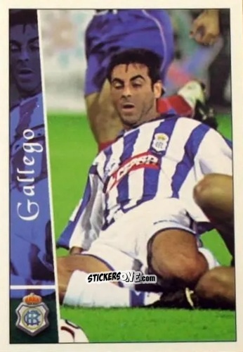 Sticker Gallego - Las fichas de la Liga 2002-2003
 n. 530 - Mundicromo