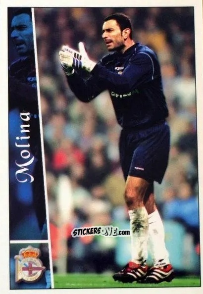 Cromo Molina - Las fichas de la Liga 2002-2003
 n. 31 - Mundicromo