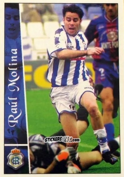 Cromo R.Molina - Las fichas de la Liga 2002-2003
 n. 536 - Mundicromo