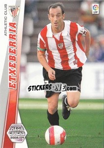 Sticker Etxeberria - Liga BBVA 2008-2009. Megacracks
 n. 34 - Panini