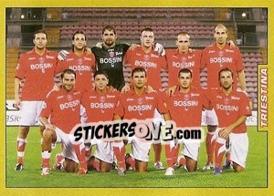 Figurina Triestina [Serie B] - Calciatori 2007-2008 - Panini