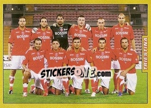 Sticker Triestina [Serie B] - Calciatori 2007-2008 n. 613 - Panini