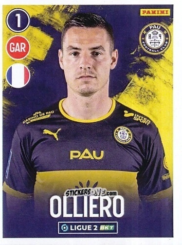 Cromo Alexandre Olliero