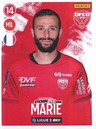 Cromo Didier Ndong