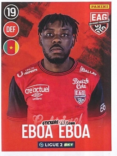 Cromo Félix Eboa Eboa
