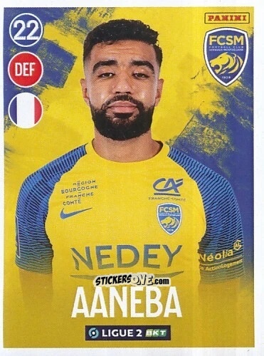 Cromo Ismaïl Aaneba
