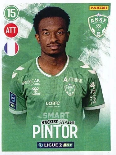 Cromo Lenny Pintor