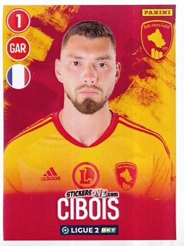 Cromo Sébastien Cibois