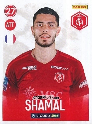 Cromo Steve Shamal