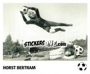 Sticker Horst Bertram - Pöhler, Typen, Zauberer!
 n. 38 - Juststickit