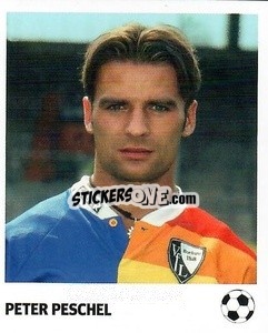 Sticker Peter Peschel - Pöhler, Typen, Zauberer!
 n. 218 - Juststickit