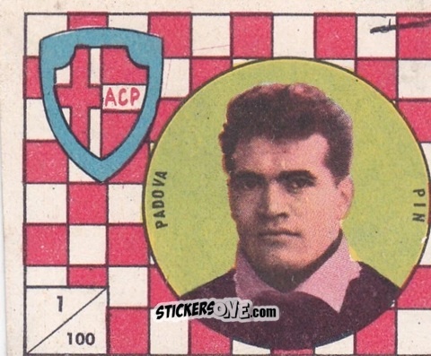 Figurina Pin