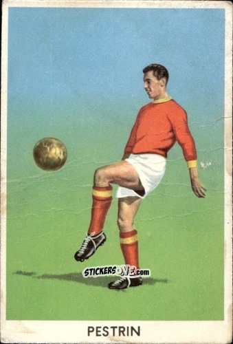 Sticker Pestrin - Il Calcio Italiano 1959-1960
 n. 237 - SIDAM