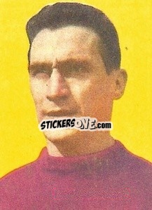 Sticker Bearzot