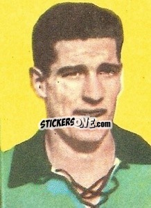 Sticker Carantini - Calciatori 1959-1960
 n. 442 - Lampo