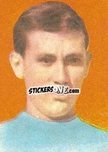 Sticker Crippa