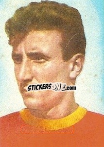 Sticker David - Calciatori 1959-1960
 n. 165 - Lampo